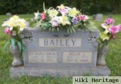 Nellie G Bailey