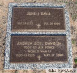 Andrew Joel Davis, Jr