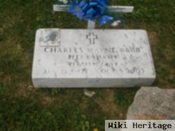 Charles W Babb