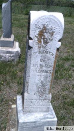 Elmer M. Williams