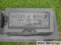 Valley Sarah Anderson Bishop