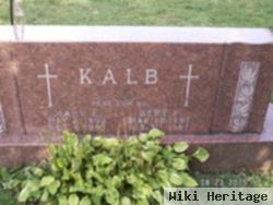 Mary E "mamie" Kolfenbach Kalb