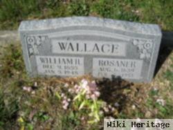 Rosaner Elizabeth Mcclure Wallace