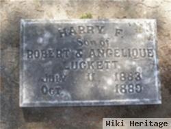 Harry F Luckett