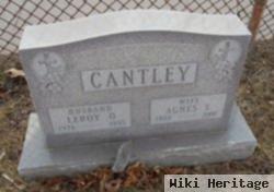 Agnes E Cantley