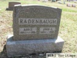 John H Radenbaugh