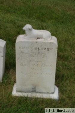 Amos Oliver White