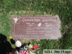 Guadalupe Garibay