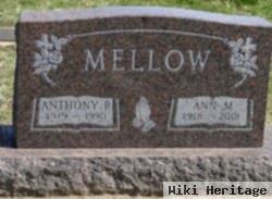 Ann M. Karaga Mellow