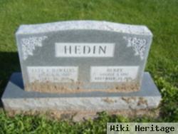 Henry Hedin