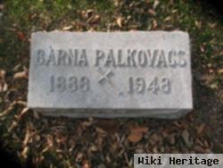 Barna "barney" Palkovacs