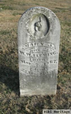 Mary J. Fleming