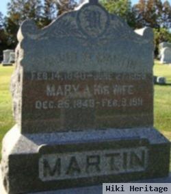 David M Martin