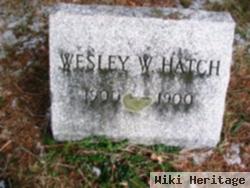 Wesley W Hatch