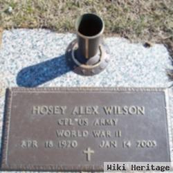 Hosey Alex Wilson