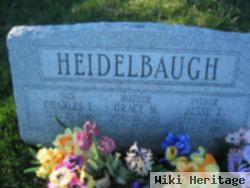 Jesse T Heidelbaugh