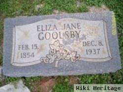 Eliza Jane Sparks Goolsby