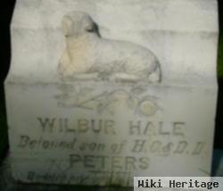 Wilbur Hale Peters