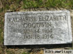 Katharine Elizabeth Goodwin