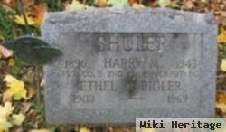 Harry Mckinley Shuler