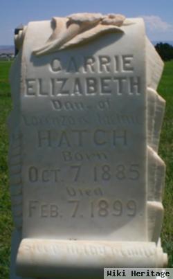 Carrie Elizabeth Hatch