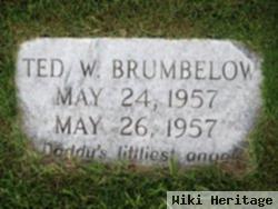 Ted W Brumbelow