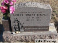 Albert Ernest Templin