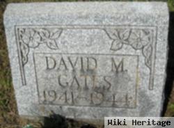 David M Gates