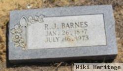 R J Barnes