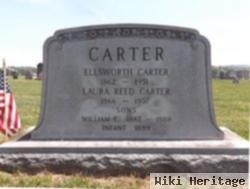 Laura Reed Carter