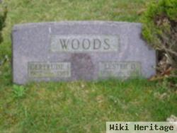 Lester David Woods