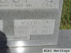 Wayne A. Holt