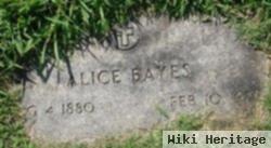 Alice Bayes