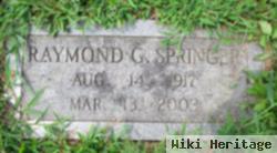 Raymond G Springer