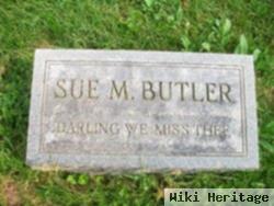 Sue M Butler