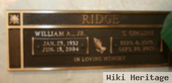 William Alfred Ridge, Jr