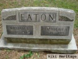 Elizabeth A Eaton