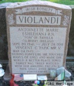 Antoinette Marie "toni" Sheehan Violandi