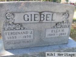 Ferdinand J Giebel