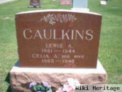 Celia Ann Fee Caulkins