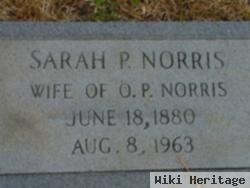 Sarah Penelope Byrd Norris Pope