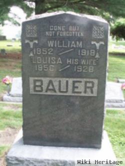 Louisa Susan Bauer