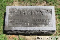 Lottie J Dalton