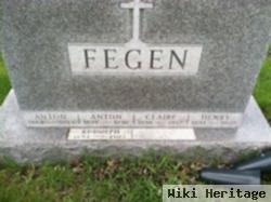 Henry W Fegen