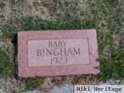 Baby Bingham