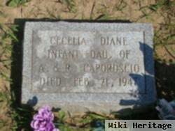 Cecelia Diane Caporuscio