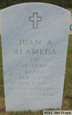 Juan A Alameda