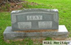 Henry Walter "guy" Seay