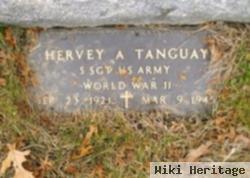 Hervey Tanguay