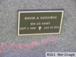 David A Goodwin